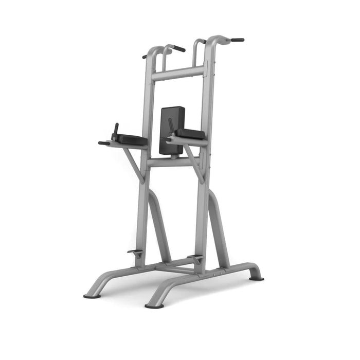 JORDAN Chin/Dip/Knee Raise in Grey