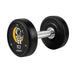 JORDAN Custom Hybrid Dumbbell with custom logo branding