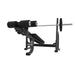 JORDAN Olympic Decline Weight Bench in grey