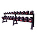 Black 10-Pair, 2-Tier Dumbbell Rack with Dumbbells