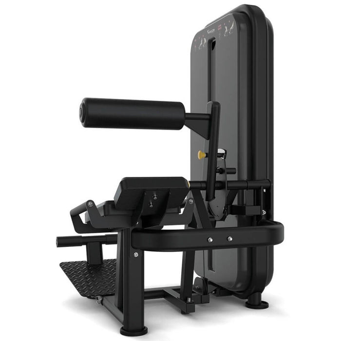 Vision Fitness Ab / Low Back Machine