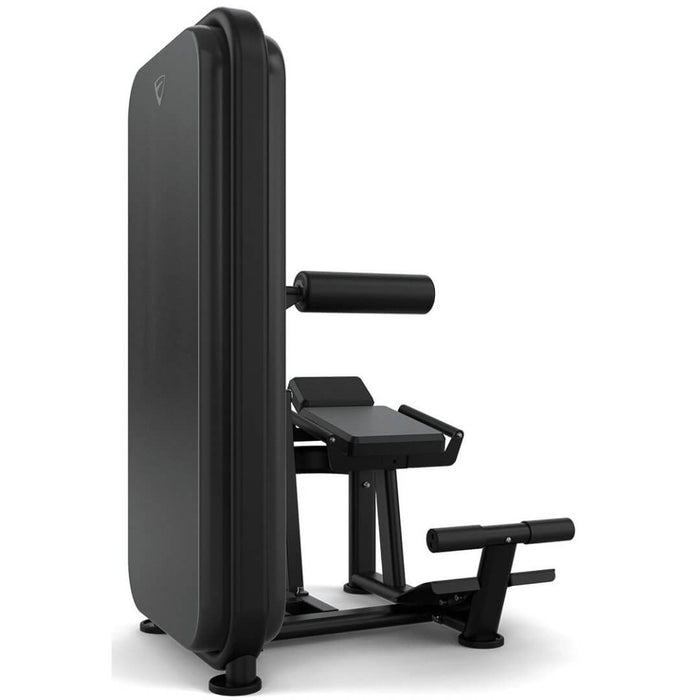 Vision Fitness Ab / Low Back Machine