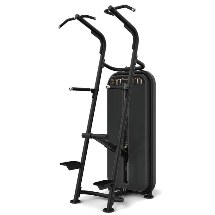 Vision Fitness Chin / Dip Assist