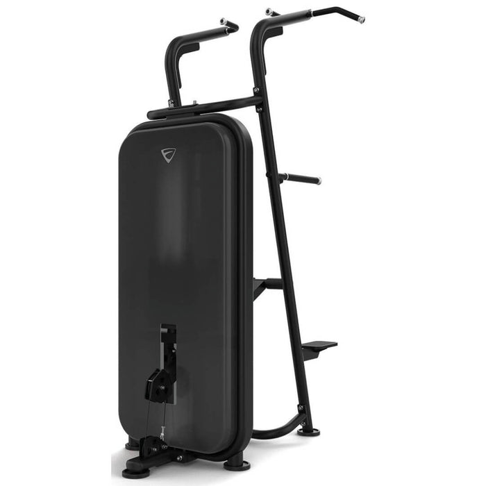 Vision Fitness Chin / Dip Assist