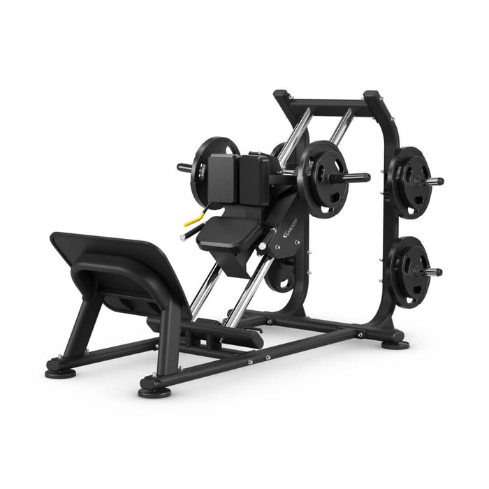 Vision Fitness Hack Squat